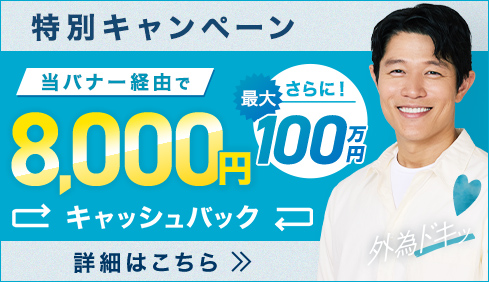 口座開設キャッシュバックキャンペーン！このバナーからの口座開設とお取引で最大100万8千円をキャッシュバック！。